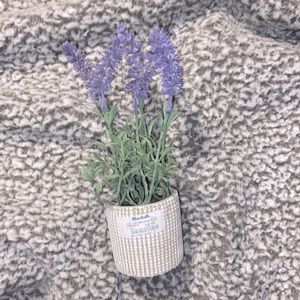 tiny fake lavender plant.
